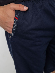 Шорты Ager модель У-1128328::000000090 Фото