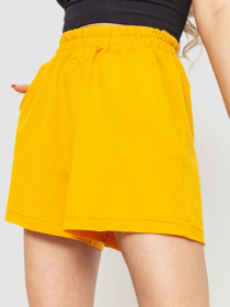 Шорти Ager модель У-1124138::000000036 Фото