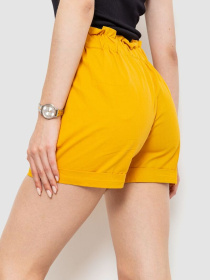 Повседневные шорты Ager модель У-1124957::000000036 Фото