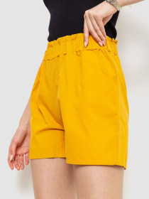 Повседневные шорты Ager модель У-1124958::000000036 Фото