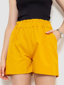 Повседневные шорты Ager модель У-1124958::000000036 Фото