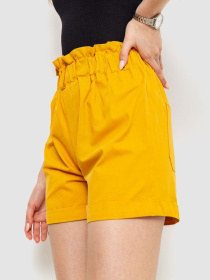 Повсякденні шорти Ager модель У-1124955::000000036 Повсякденні шорти Ager модель У-1124955::000000036 Фото