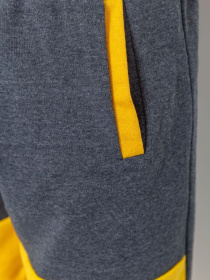 Повсякденні шорти Ager модель У-1123962::000000087 Фото