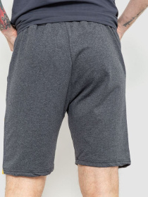 Повсякденні шорти Ager модель У-1124034::000000087 Фото