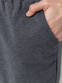 Шорты Ager модель У-1123965::000000072 Фото