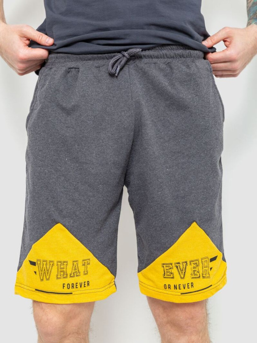 Повседневные шорты Ager модель У-1123965::000000072 Фото