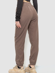 Джоггеры Ager модель У-1127655::У-0000141 Джоггеры Ager модель У-1127655::У-0000141 Фото