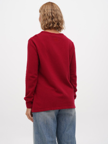 Джемпер Sassofono модель A271-SF-3598_бордовый Джемпер Sassofono модель A271-SF-3598_бордовый Фото