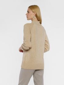 Светр Arber модель W10.04.16.441 Фото