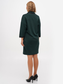 Платье мини Sassofono модель A271-SC-3484_зеленый Фото