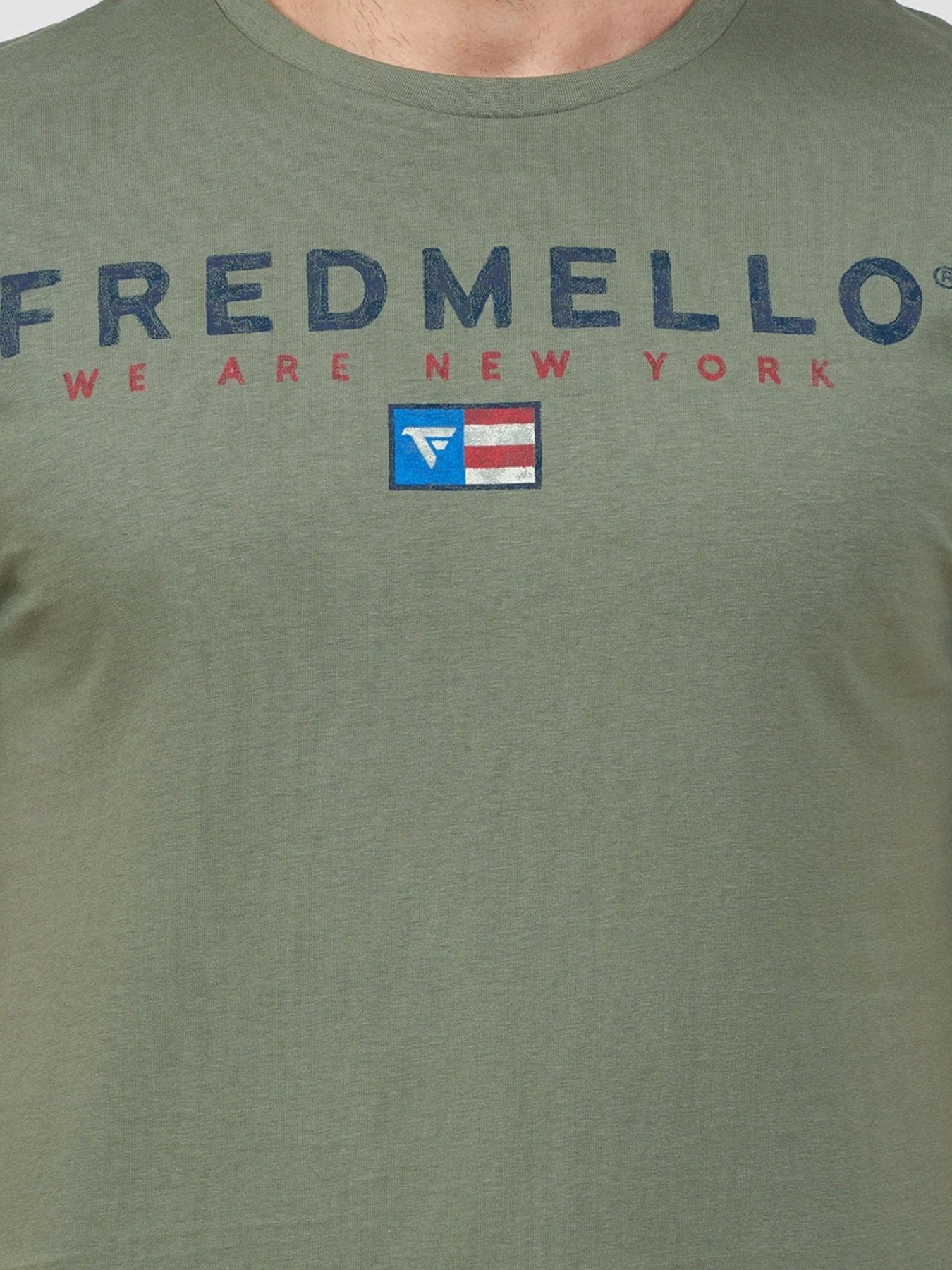 Футболки и поло Fred Mello модель FM24S10TG_SAGE Фото