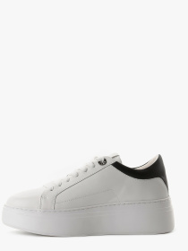 Кеды низкие LeBERDES модель 00000017427 Фото