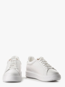 Кеды низкие LeBERDES модель 00000017459 Фото