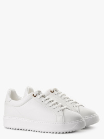 Кеди низькі LeBERDES модель 00000017459 Фото