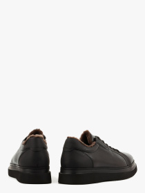 Туфли LeBERDES модель 00000017529 Фото