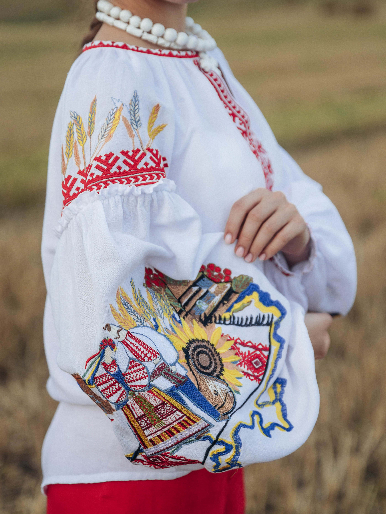 Вишита сорочка Едельвіка модель 143-24-00 Фото