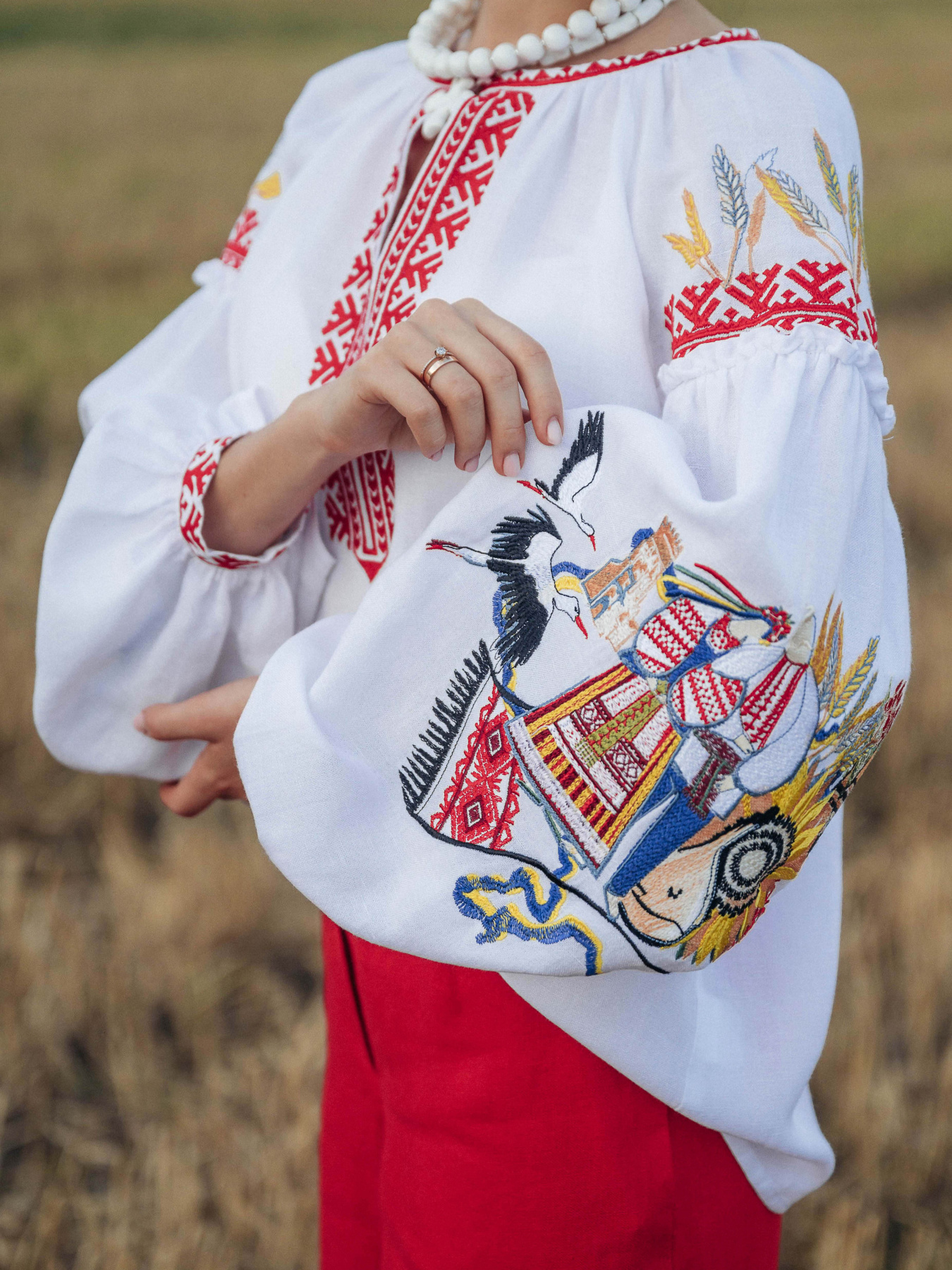 Вишита сорочка Едельвіка модель 143-24-00 Фото