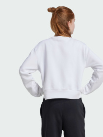 Свитшот Adidas модель IX9330 Фото