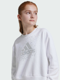 Свитшот Adidas модель IX9330 Фото