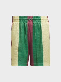 Повсякденні шорти Adidas модель IY7393 Фото