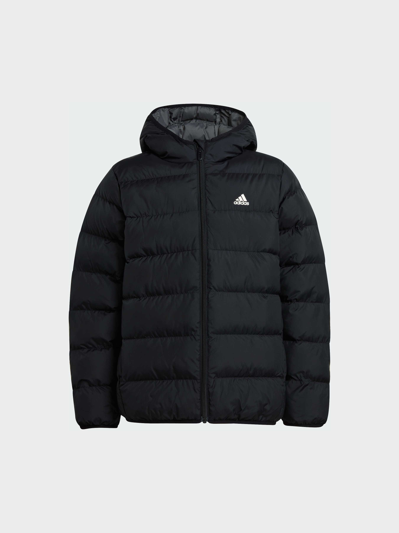 Зимняя куртка Adidas модель IV9505 Фото