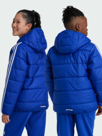 Демісезонна куртка Adidas модель IW0543 Фото