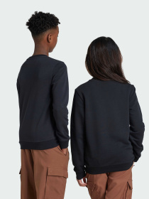 Свитшот Adidas Adicolor модель IY7435 Фото