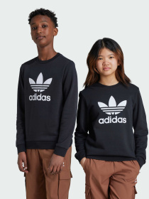 Свитшот Adidas Adicolor модель IY7435 Фото