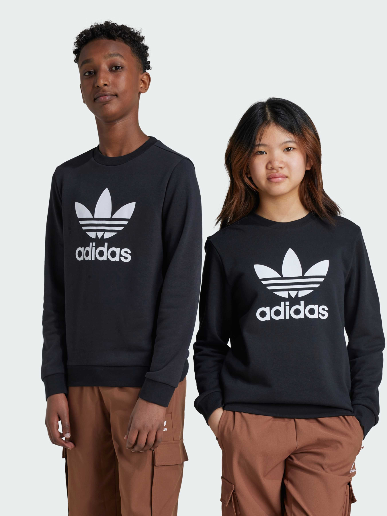Світшот Adidas Adicolor модель IY7435 Фото