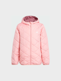 Демисезонная куртка Adidas модель JF4344 Фото