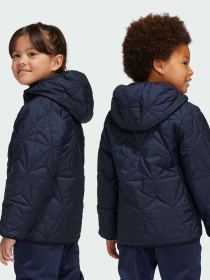 Демісезонна куртка Adidas модель JF4346 Фото