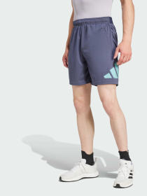 Шорты спортивные Adidas модель IW3410 Фото