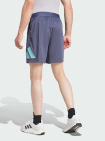 Шорты спортивные Adidas модель IW3410 Фото