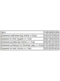 Комплект для немовлят Носи своє модель 5063-023-33-5-1-svtlo-buzkovij-tvtt Комплект для немовлят Носи своє модель 5063-023-33-5-1-svtlo-buzkovij-tvtt Фото