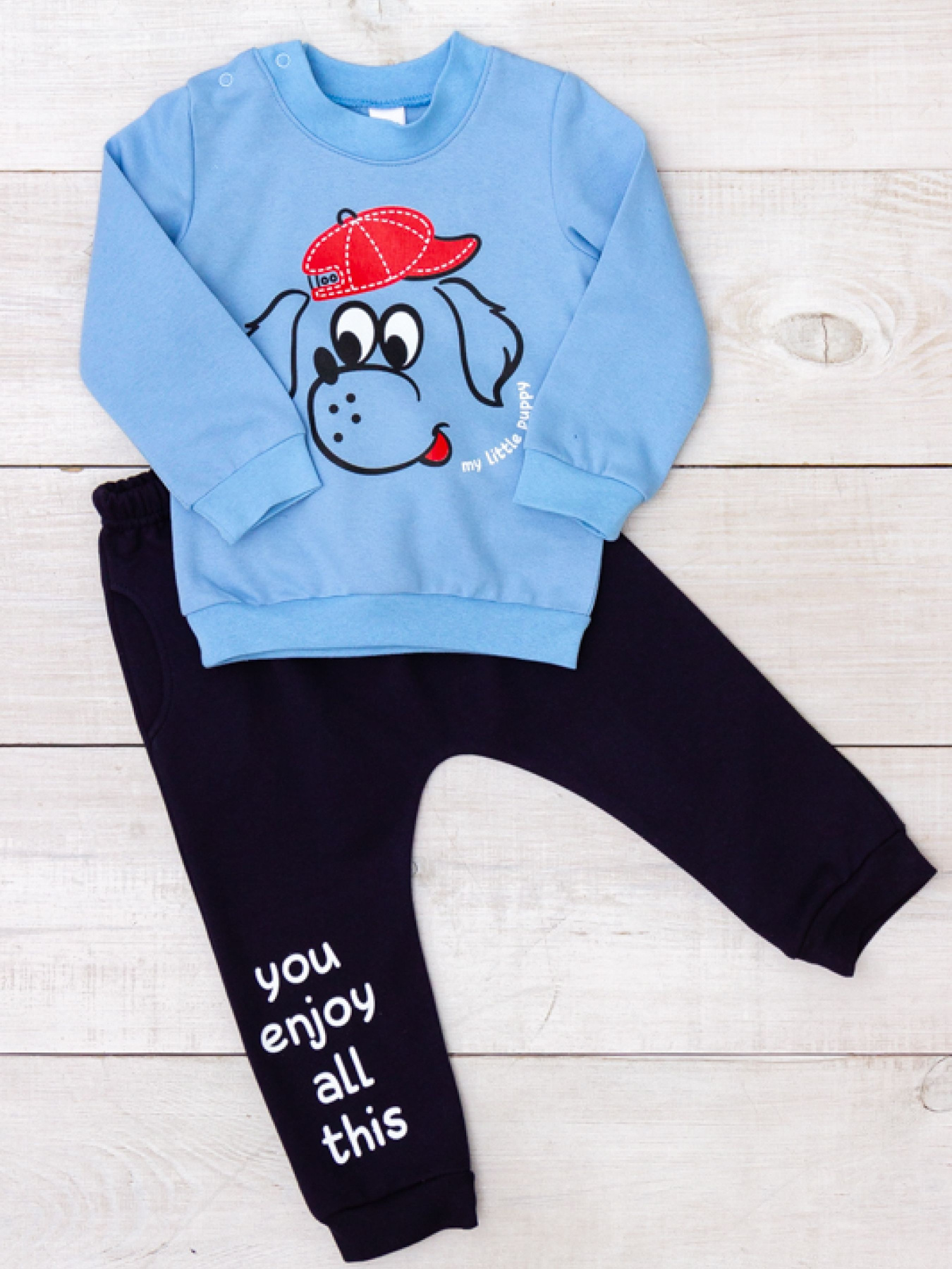 Комплект для младенцев Носи своє модель 5063-023-33-4-1-blakitnij-pesik Фото