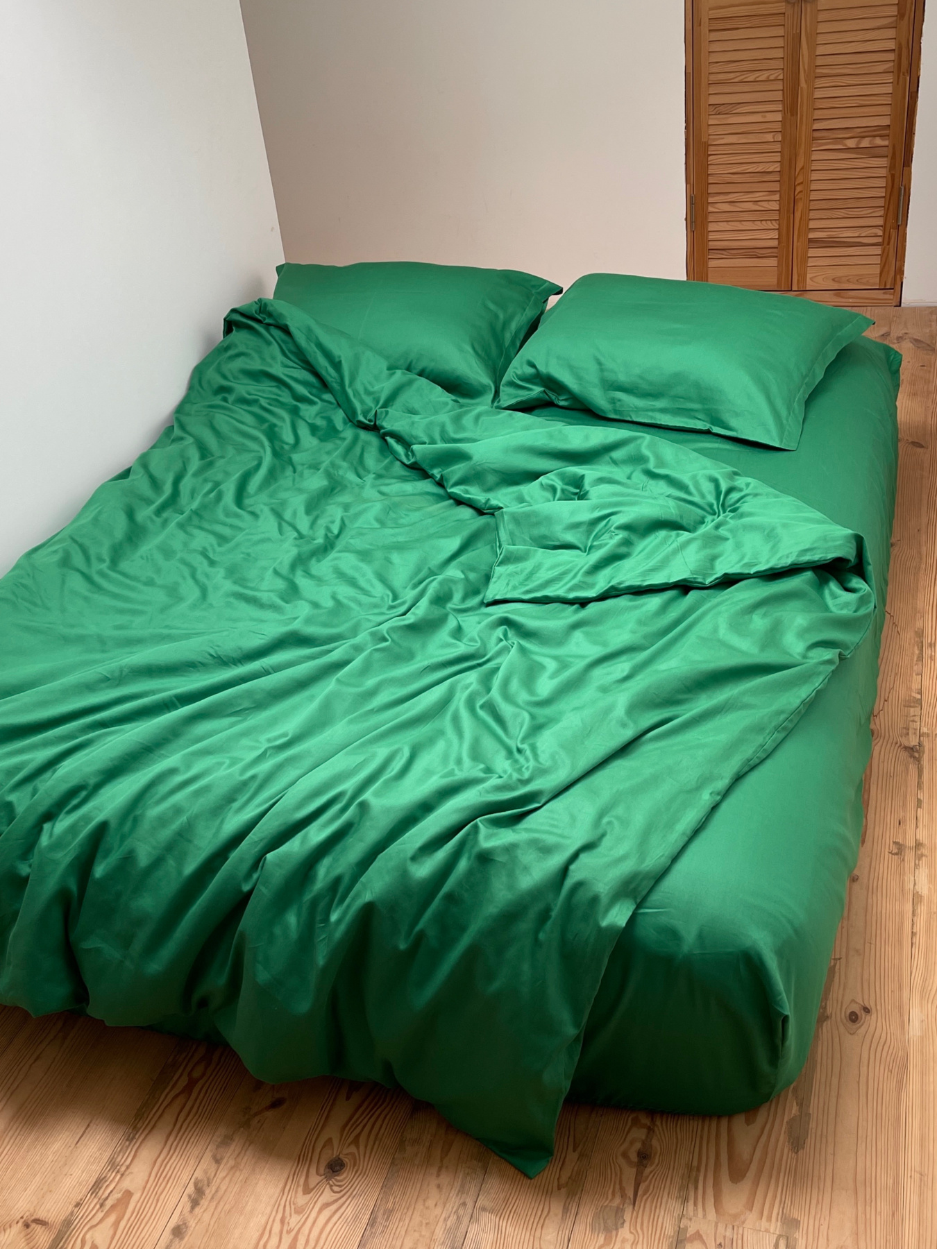 Комплект постільної білизни класичний зелений Cozy модель 9945733 Фото