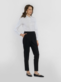 Брюки классические Arber модель WB01.03.02.00 Фото