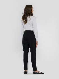 Брюки классические Arber модель WB01.03.02.00 Фото