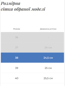 Черевики Gem модель 533 Фото