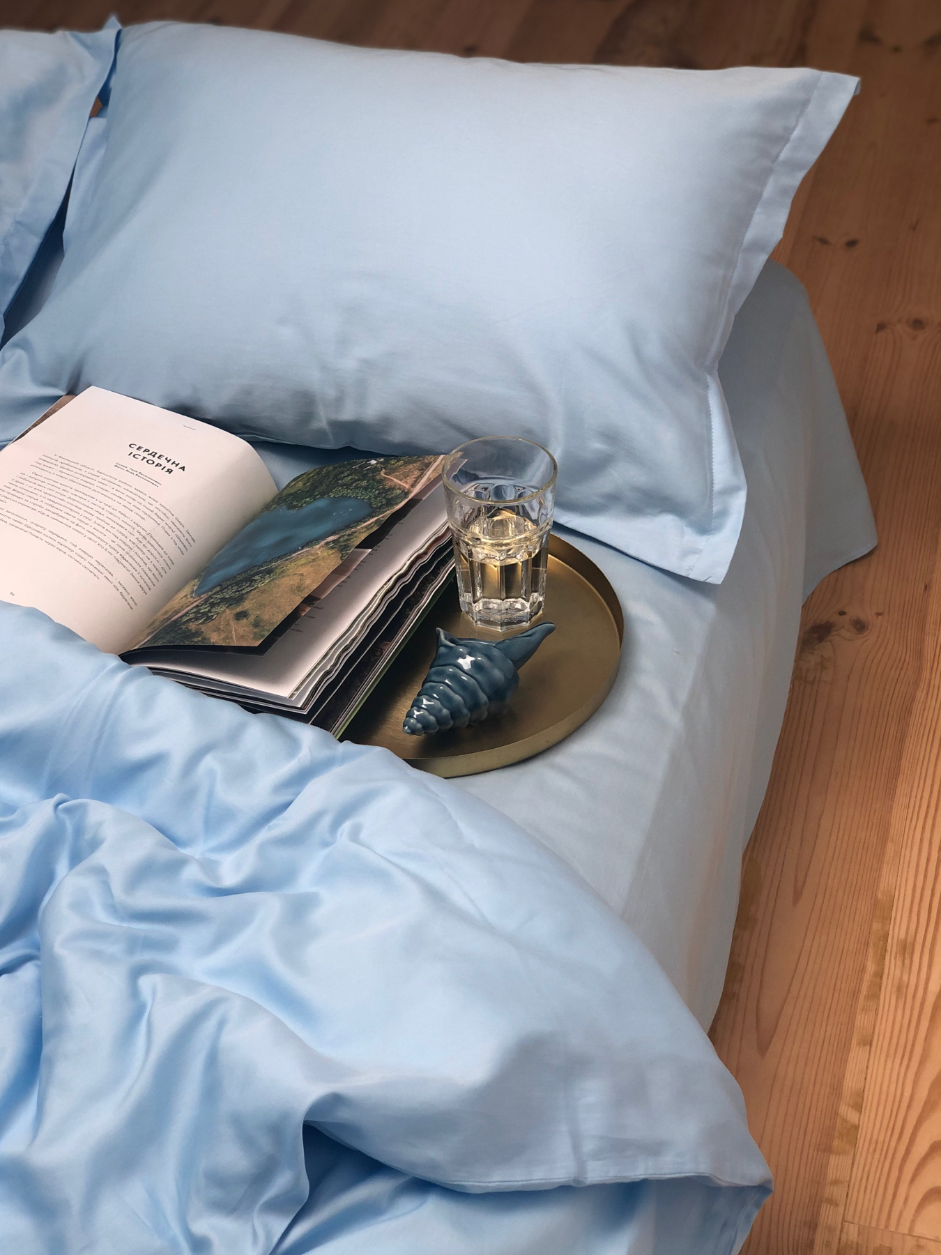 Комплект постільної білизни класичний небесно-блакитний Cozy модель 8047819 Фото