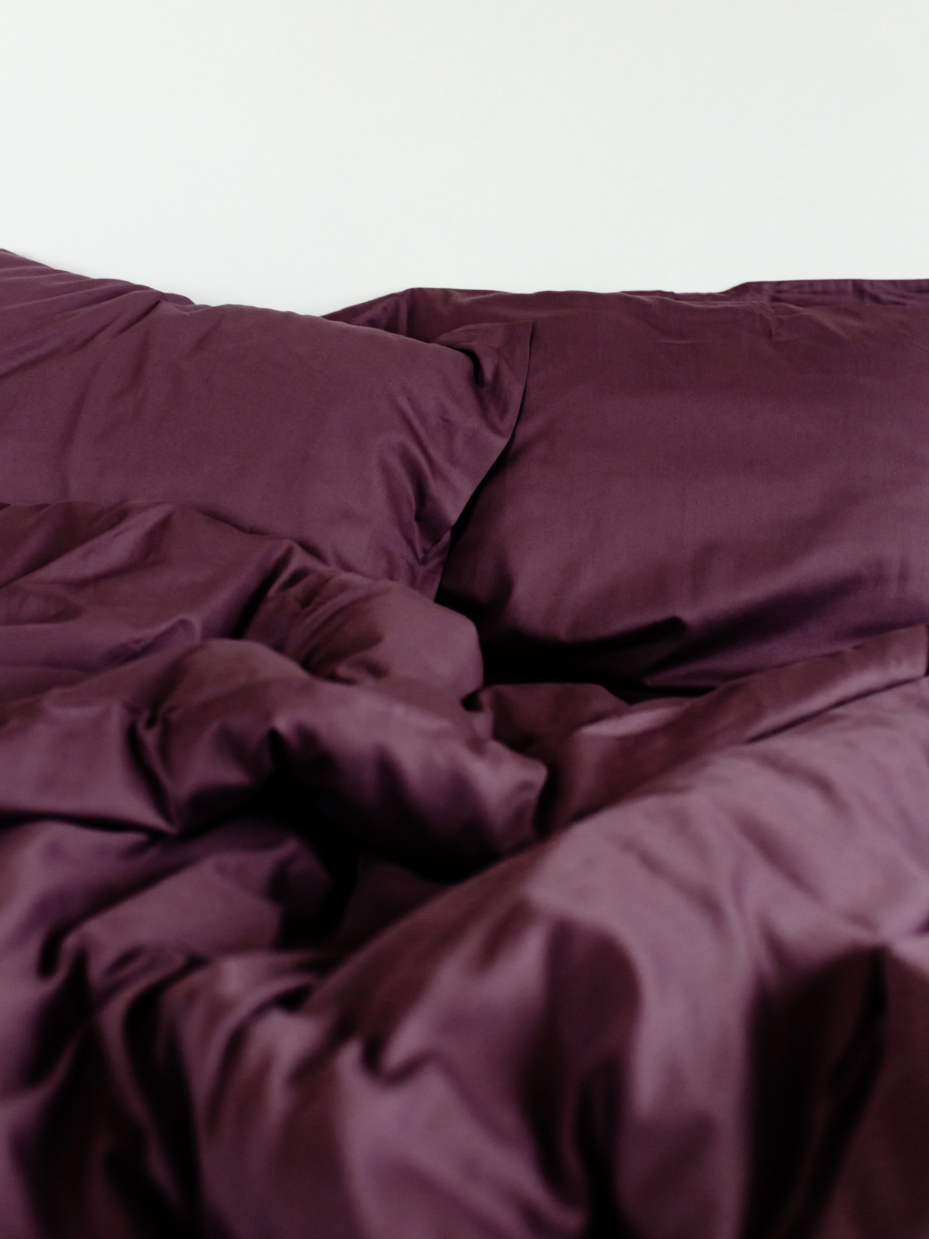 Комплект постільної білизни класичний слива Cozy модель 8047771 Фото