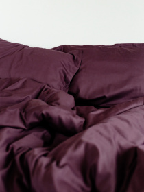 Комплект постільної білизни класичний слива Cozy модель 8047771 Фото