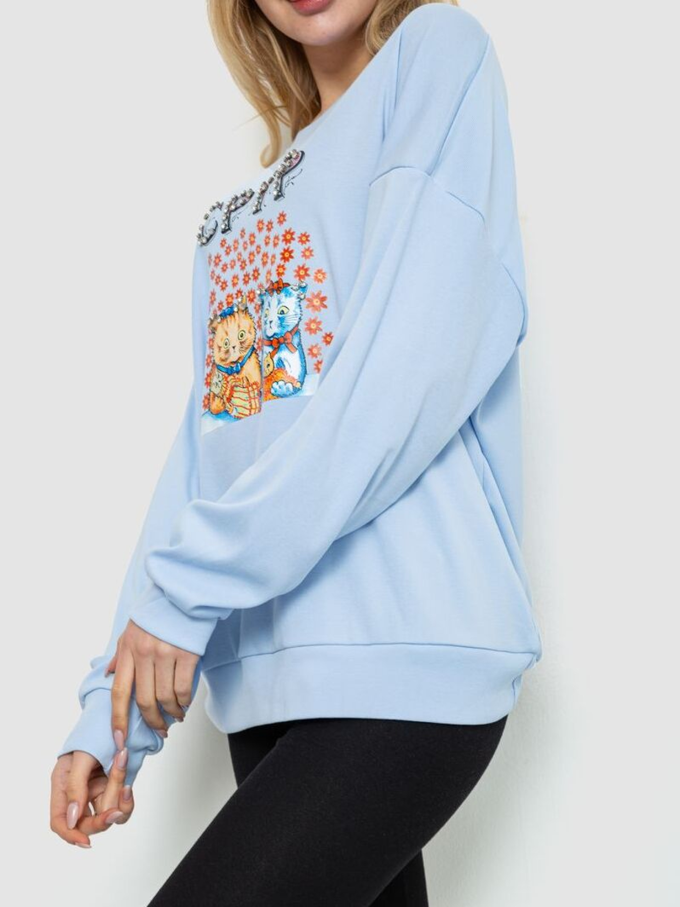 Світшот Ager модель У-1128613::000000392 Фото