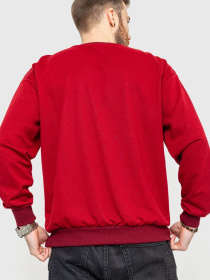 Світшот Ager модель У-1122033::000000029 Фото