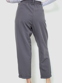 Классические штаны Ager модель У-1125292::000000072 Фото