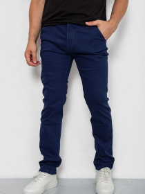 Повседневные штаны Ager модель У-1130434::000000084 Фото