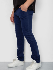 Повсякденні штани Ager модель У-1130433::000000084 Повсякденні штани Ager модель У-1130433::000000084 Фото