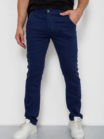 Повседневные штаны Ager модель У-1130433::000000084 Фото