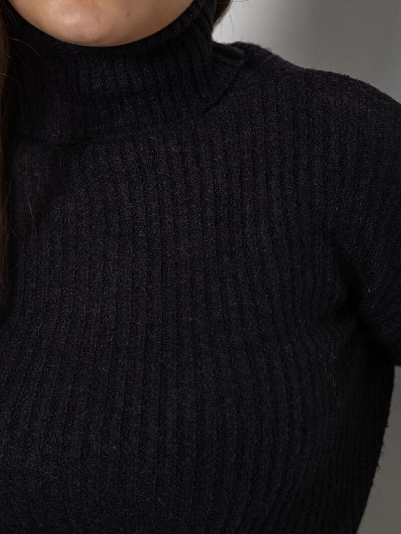 Водолазка Ager модель У-1131332::000000096 Фото