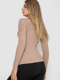 Водолазка Ager модель У-1131336::У-0000141 Фото